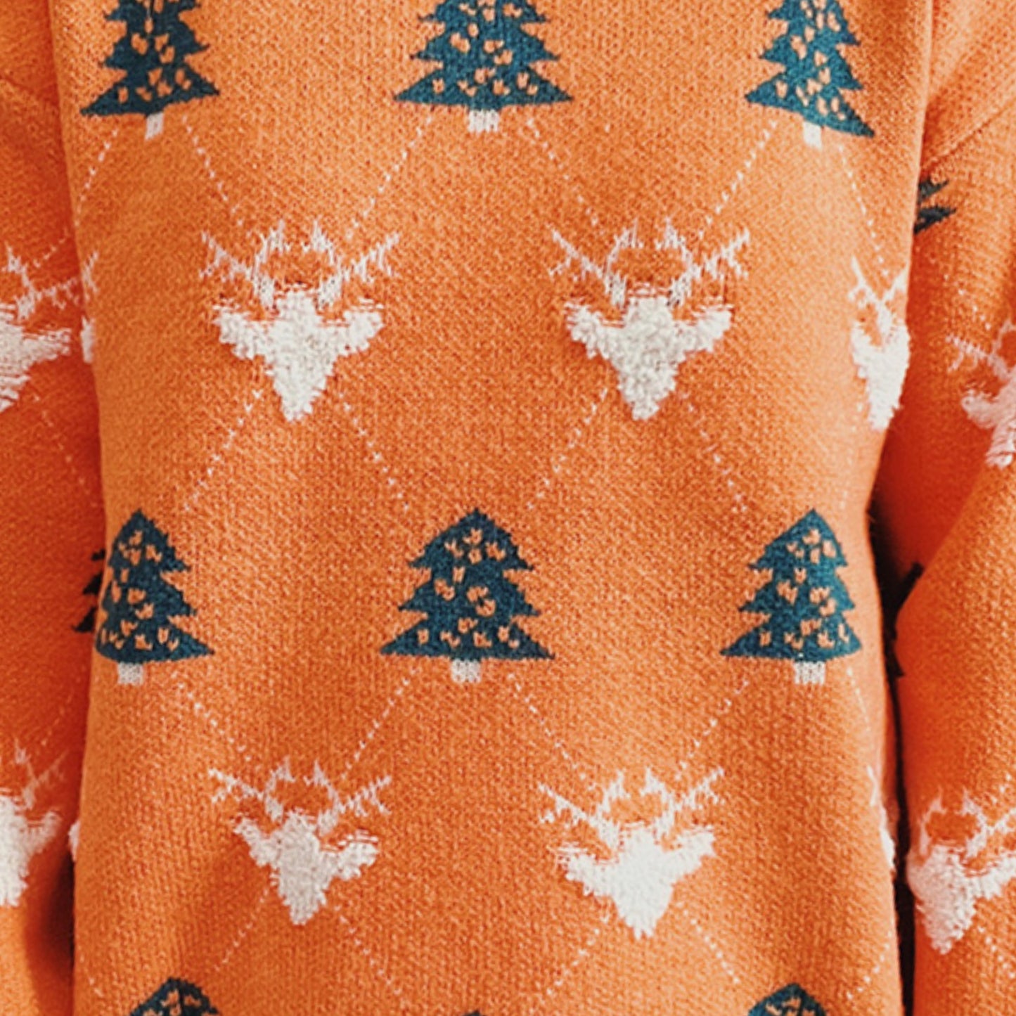 Fuzzy Shag Knit Reindeer Tree Argyle Round Neck Winter Soft Print Sweater