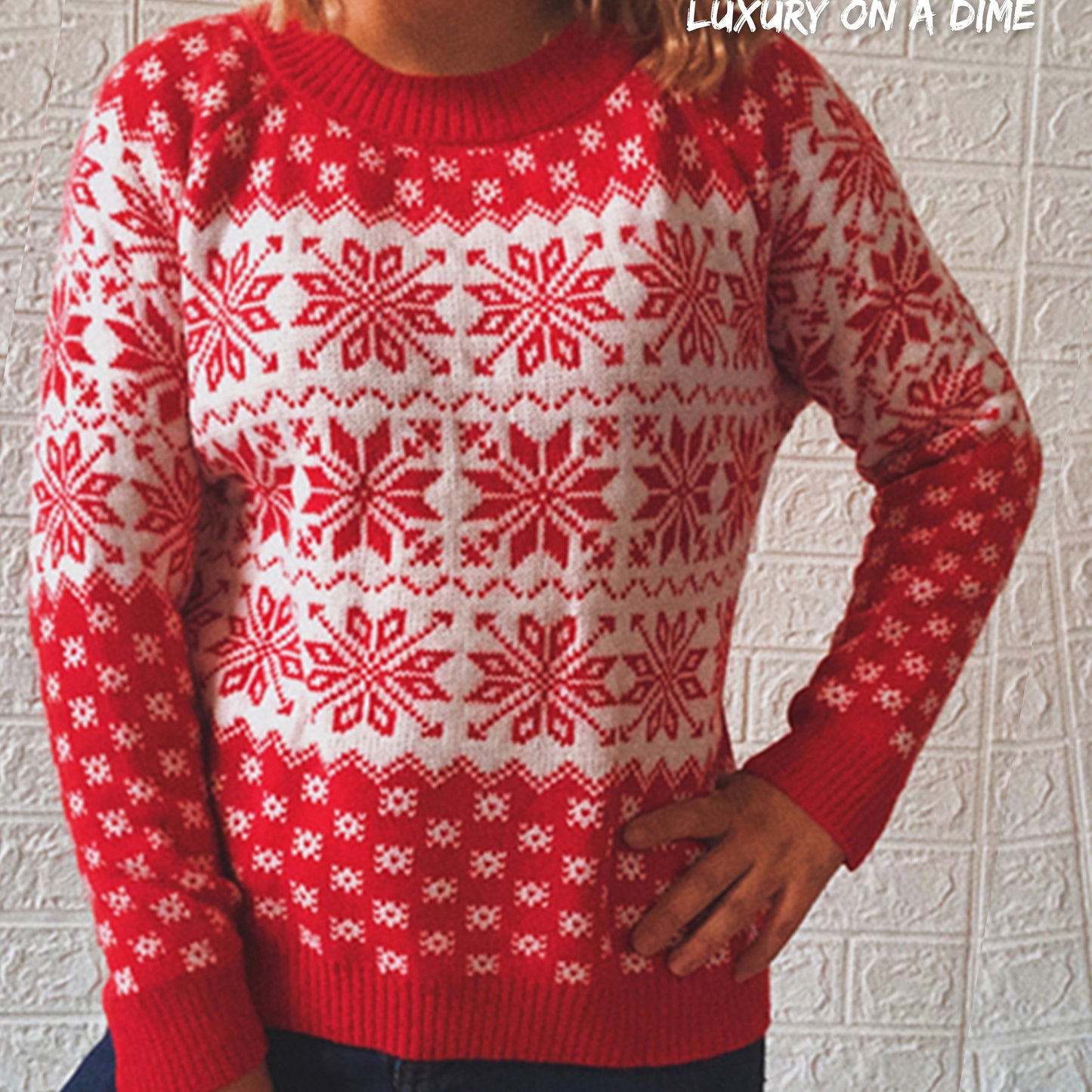 Fair Isle Color Contrast Winter Snowflake Long Sleeve Minimalist Sweater