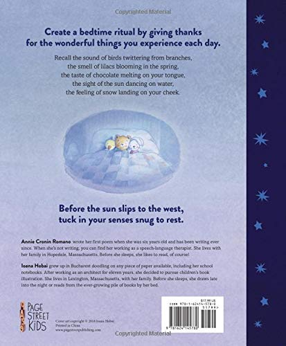 Before You Sleep A Bedtime Book of Gratitude Annie Cronin Romano 2018 Story