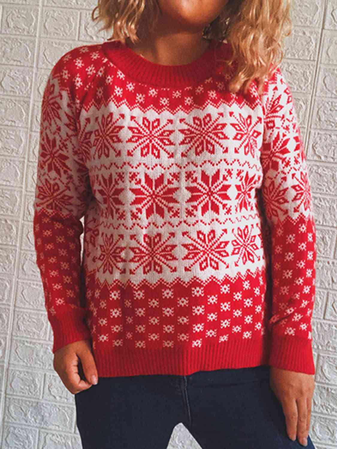 Fair Isle Color Contrast Winter Snowflake Long Sleeve Minimalist Sweater