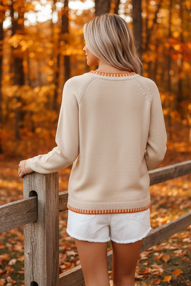 Embroidered Floral Crochet Pumpkin Long Sleeve Round Neck Sweater