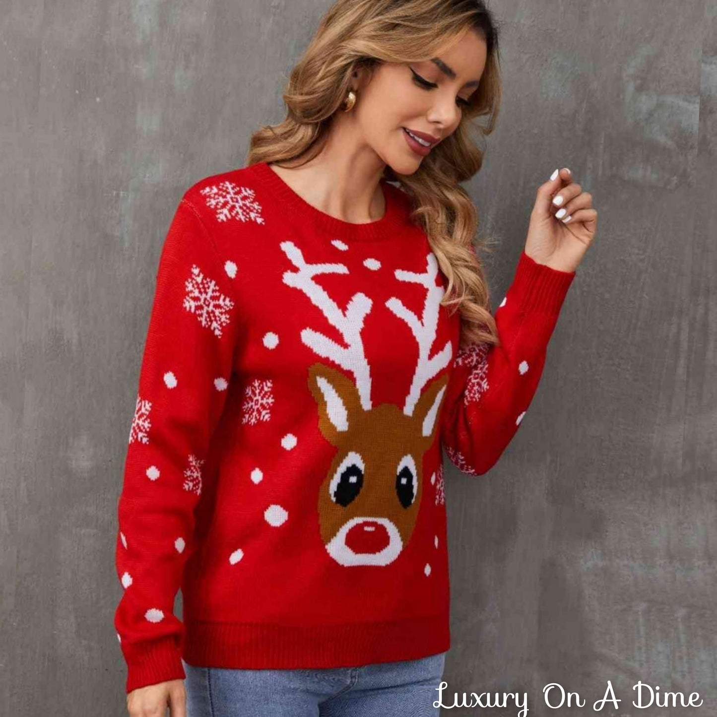 Rudolph Reindeer Round Neck Winter Holiday Long Sleeve Christmas Knit Sweater