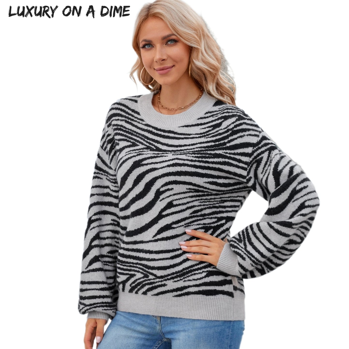 Zebra Stripe Long Sleeve Animal Print Round Neck Casual Soft Sweater Shirt