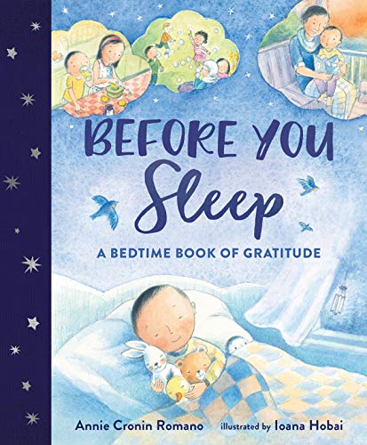 Before You Sleep A Bedtime Book of Gratitude Annie Cronin Romano 2018 Story