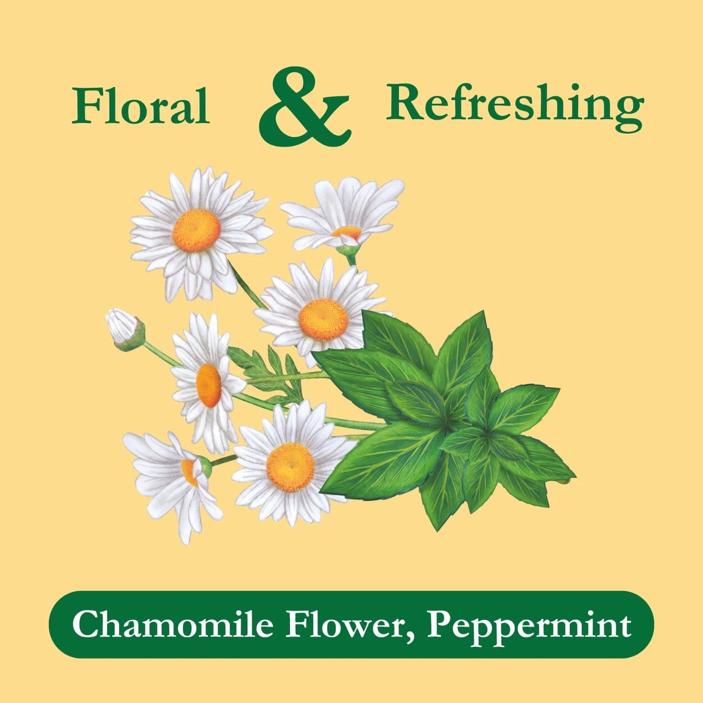 Tadin Chamomile Mint Tea Bags 24 Ct Herbal Tea with Chamomile & Mint Relaxation Digestion Sleep Support